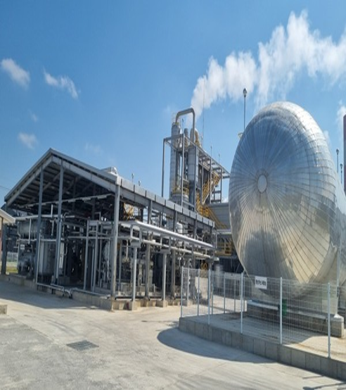 2025 대표 이미지